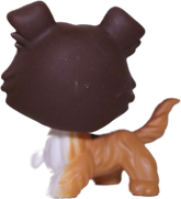 #0237 Collie